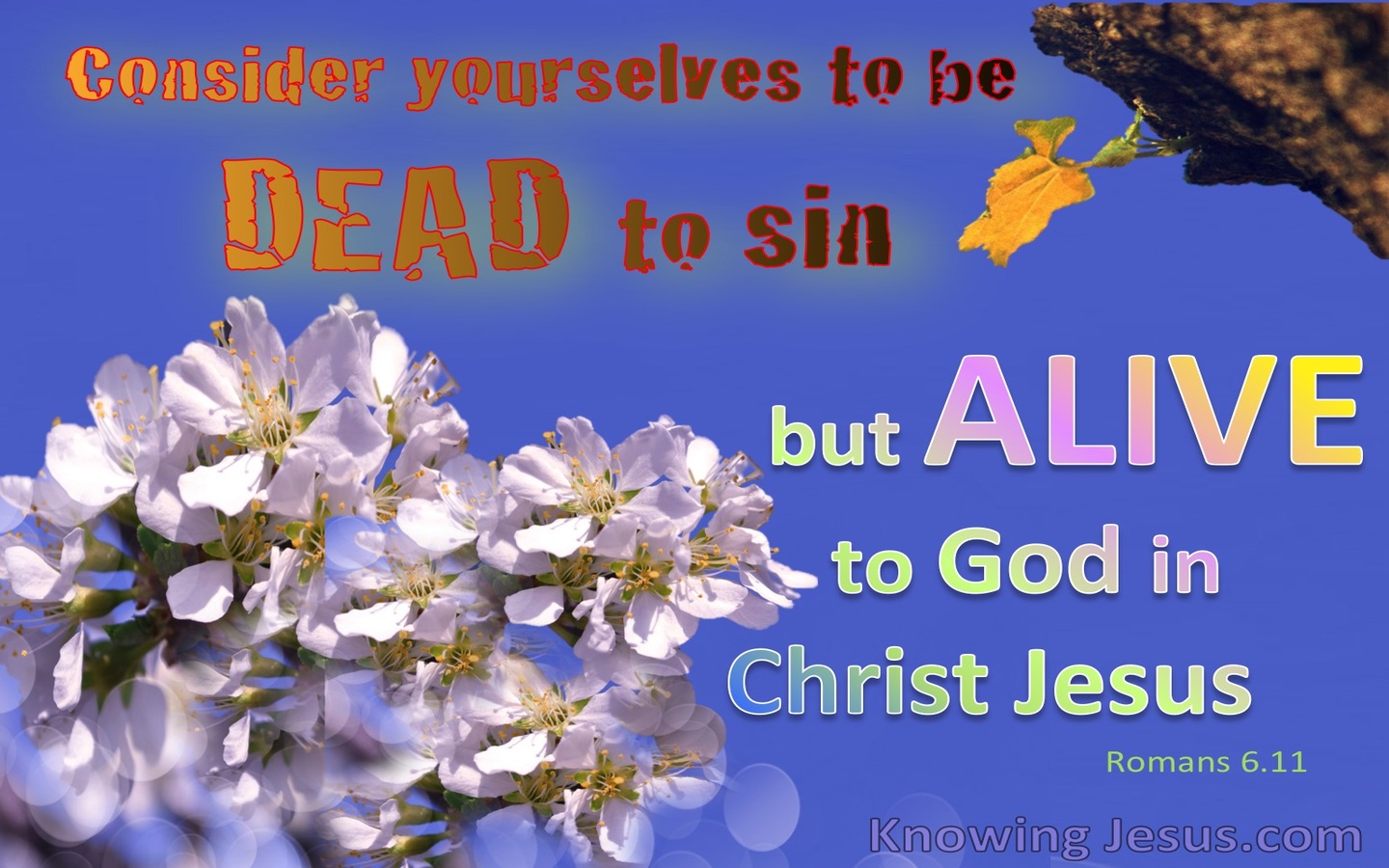 Romans 6:11 Dead To Sin Alive To God (blue) 